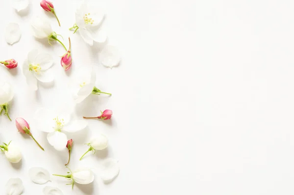 Composición Flores Patrón Hecho Flores Blancas Rosadas Con Espacio Para — Foto de Stock