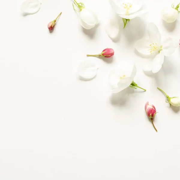 Composición Flores Patrón Hecho Flores Blancas Rosadas Con Espacio Para — Foto de Stock