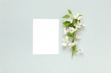  Kağıt boş, mavi arka plan üzerinde yaz taze çiçekler. Mockup. Yukarıdan görüntüleyin. - Resim