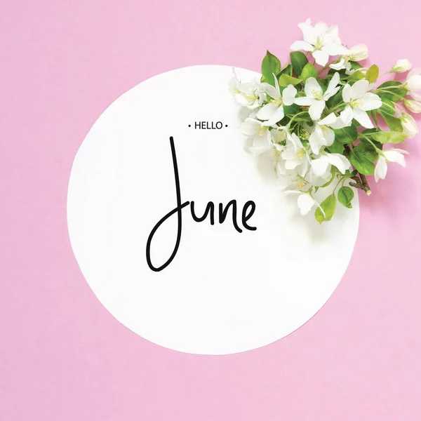 碑文こんにちは6月 夏の新鮮な花とフレーム トップビュー — ストック写真
