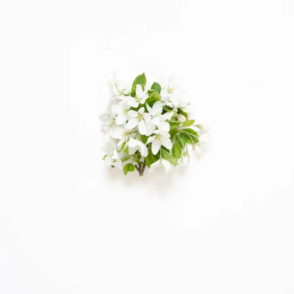 Rama Manzano Flor Sobre Fondo Blanco Burlarse Vista Desde Arriba — Foto de Stock