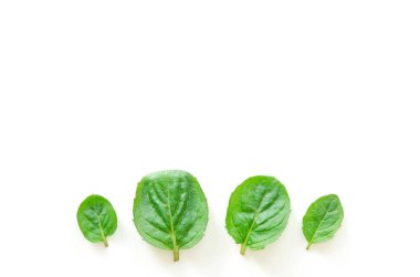 Beyaz arka planda nane otlar üst görünümü. Minimal ham bitki konsept tasarımı. - Resim