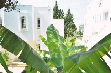 Geleneksel bir Bodrum evinin manzarası. Türkiye. - Resim