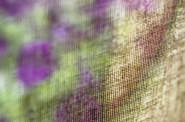 Perdenin arkasındaki pencere üzerinde Petunia çiçekleri. -Görüntü