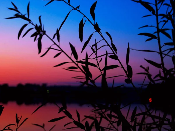 日落时分与河流的夏季风景 — 图库照片