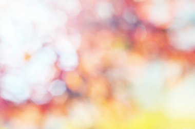 Sonbahar bulanık arka plan. Arka plan için otumnal doğal bokeh. -Görüntü