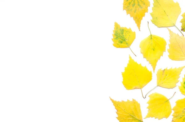 Κίτρινα Φθινοπωρινά Φύλλα Απομονωμένα Λευκό Αντιγραφή Χώρου Κορυφαία Προβολή Εικόνα — Φωτογραφία Αρχείου