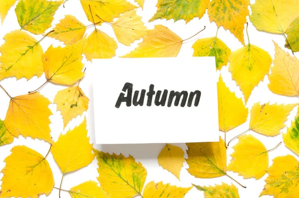 Inscrição Outono Folhas Outono Amarelas Isoladas Branco Imagem — Fotografia de Stock