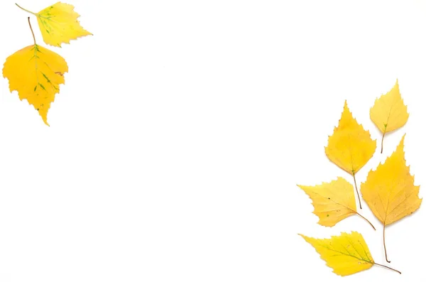 Yellow Autumn Leaves Isolated White Copy Space Top View Image — Stock Photo, Image