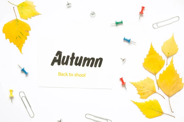 School Stationery Yellow Autumn Leaves Isolated White Back School Concept — Stock Photo, Image