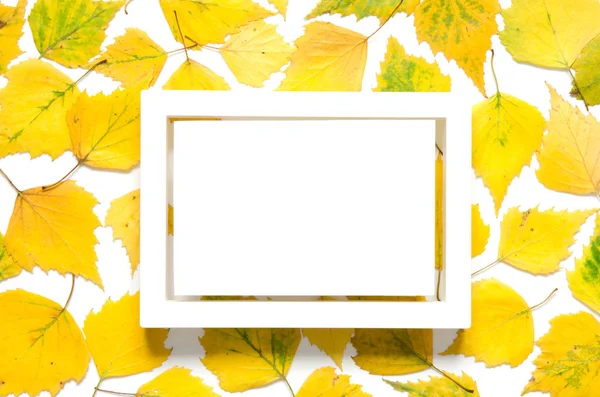 Kreative Gestaltung Gelber Herbstblätter Mit Platz Für Text Auf Weißem — Stockfoto