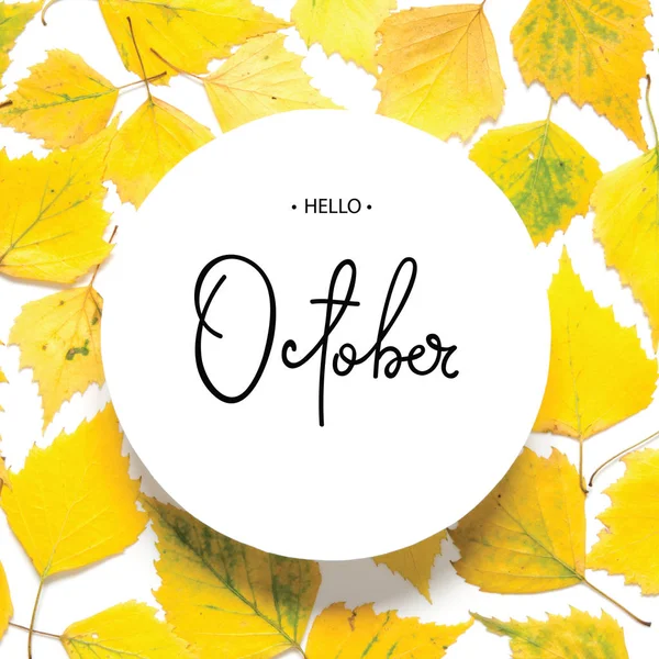 Inschrift Hallo Oktober Muster Gelber Herbstblätter Isoliert Auf Weißem Grund — Stockfoto