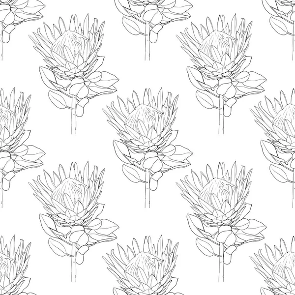 Patrón Sin Costuras Línea Arte Flores Protea Tejido Diseño Textil — Archivo Imágenes Vectoriales