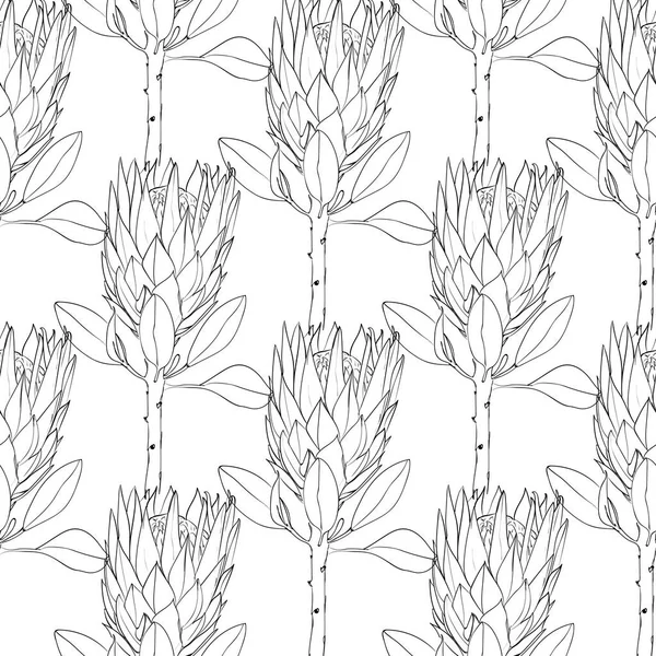 Απρόσκοπτη Γραμμή Μοτίβο Τέχνη Λουλούδια Protea Σχέδιο Ύφασμα Ύφασμα Εικονογράφηση — Διανυσματικό Αρχείο