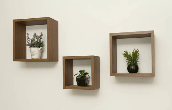 Prateleiras de parede de madeira e vaso de planta dentro do conjunto de três — Fotografia de Stock