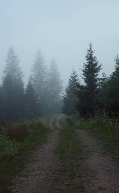 Sisli köy yolu sabah erken saatlerde gün doğumundan önce
