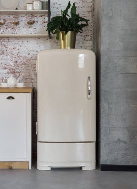 Mutfakta klasik buzdolabının dikey çekimi.