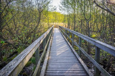 Bir yolu ve yaya köprüsü üzerinde çamurlu sulak, 3 Mayıs 2018, Arreso, Danimarka
