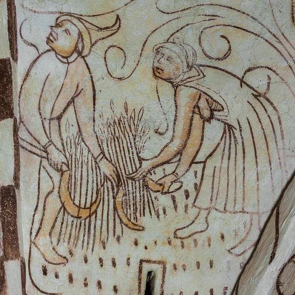 2018 スウェーデン Bronnestad 教会の中世ゴシックのフレスコ画は トウモロコシを収穫鎌を使用して女と男 — ストック写真