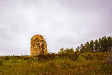 Tunç Çağı, Vatteryd tarih öncesi bir mezarlıktan büyük dik taş büyük bir alan, Hassleholm, İsveç, 11 Mayıs 2018