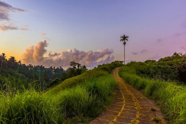 Campuhan Ridge Walk in the morning twilight, a paved pathway over the hills, trail outside Ubud, Bali, Indonesia, April 15, 2018