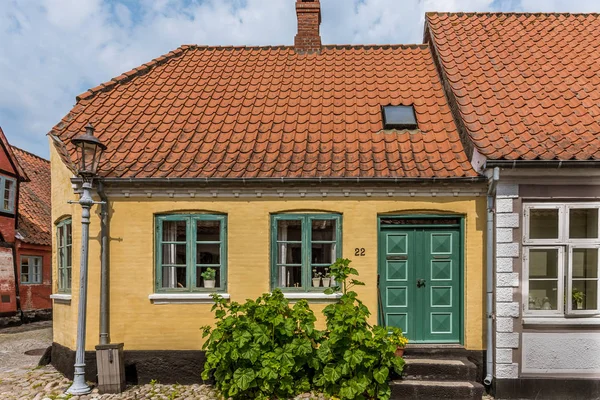 La porta d'ingresso di una casa di pietra gialla con hollyhochs verde — Foto Stock