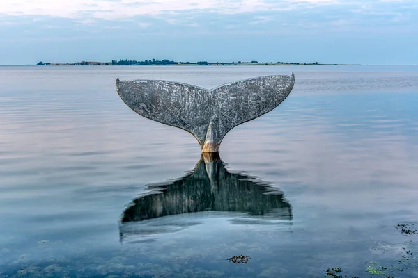 Cauda Baleia Faaborg Refletindo Água Mar Avernako Fundo Faaborg Dinamarca — Fotografia de Stock