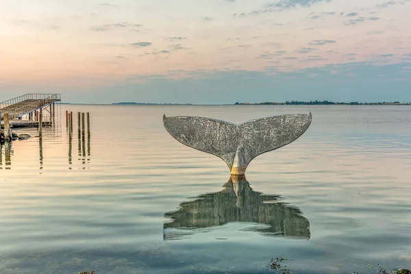 Queue Baleine Faaborg Bain Portuaire Reflétant Dans Eau Mer Avernako — Photo