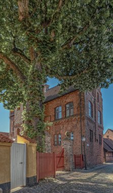 Ribe 'deki Taarnborg binası 1570-80 yılları arasında inşa edildi ve 1 Haziran 2020' de Piskopos Brorson, Danimarka 'ya iade edildi.