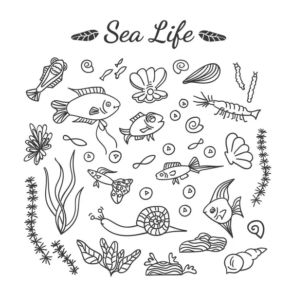 Sea Life Tema Ikoner Dras Vit Bakgrund — Stock vektor