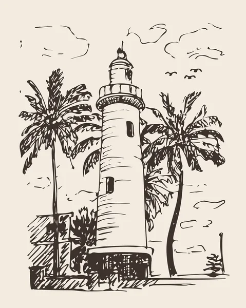 手描きのヤシの木が灯台のイラスト — ストックベクタ