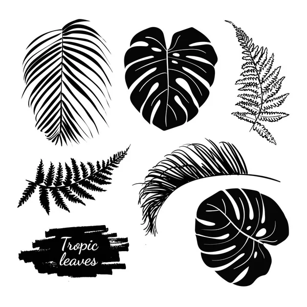 热带叶子剪影汇集在白色背景 — 图库矢量图片