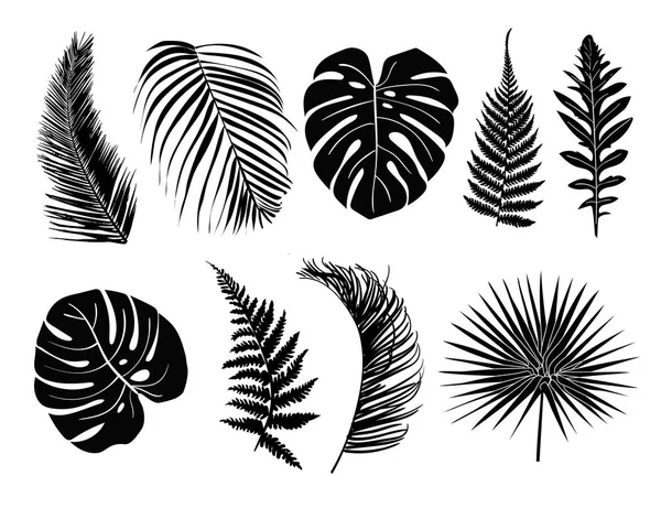 黑色热带叶子设置在白色背景 — 图库矢量图片