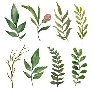 Suluboya dalları ve yaprakları