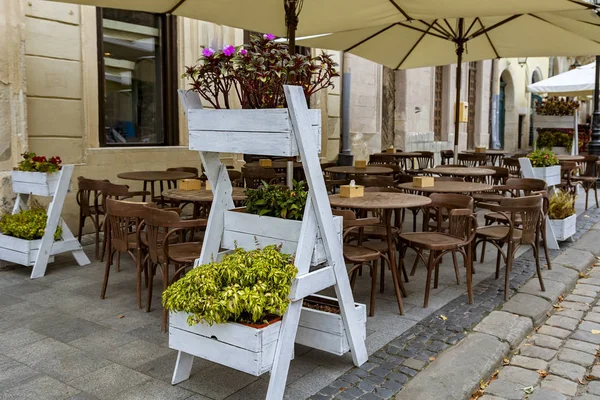 A street cafe decorated with green plants