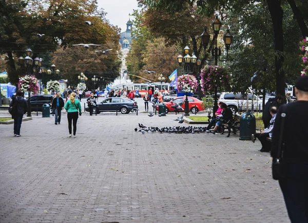 Lviv Ucrânia Setembro 2016 Mulheres Alimentam Pombos Uma Rua Cidade — Fotografia de Stock