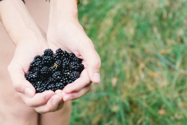 Adam böğürtlen el avuç içi tutar.