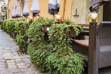 Yeşil bitkiler ile dekore edilmiş bir sokak Cafe