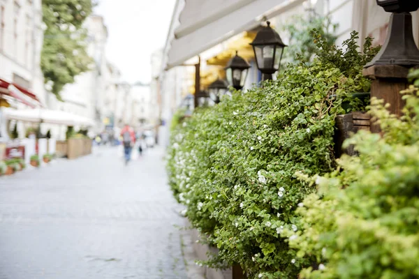 緑の植物で飾られた通りカフェ — ストック写真