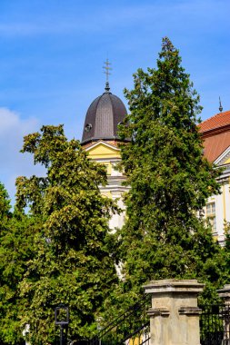 Uzhhorod içinde kilisenin kubbesi