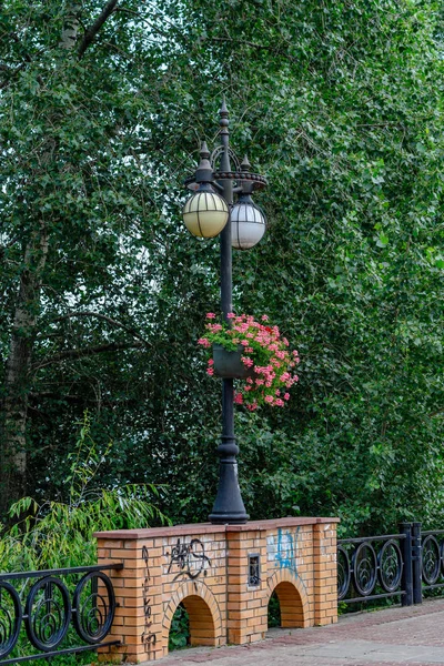 Вулична Лампа Квітами Вази — стокове фото