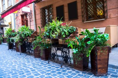 Yeşil bitkiler ile dekore edilmiş bir sokak Cafe