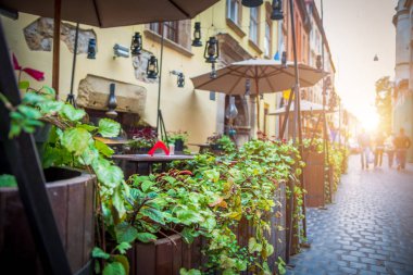 Yeşil bitkiler ile dekore edilmiş bir sokak Cafe