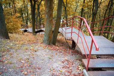 Demir merdiven ormandaki bir tepe üzerinde
