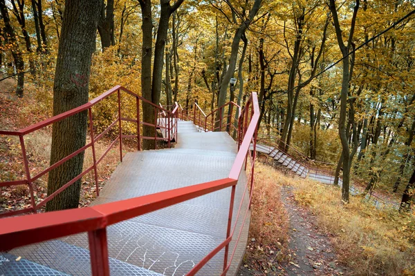 Escalera Hierro Una Colina Bosque —  Fotos de Stock