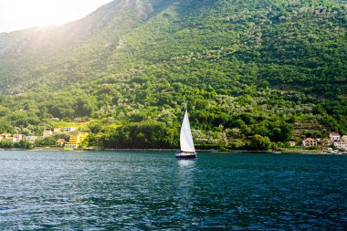 Denizin içinde beyaz bir yelken ile yat