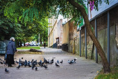 Büyükanne güvercinler sokakta beslenir.
