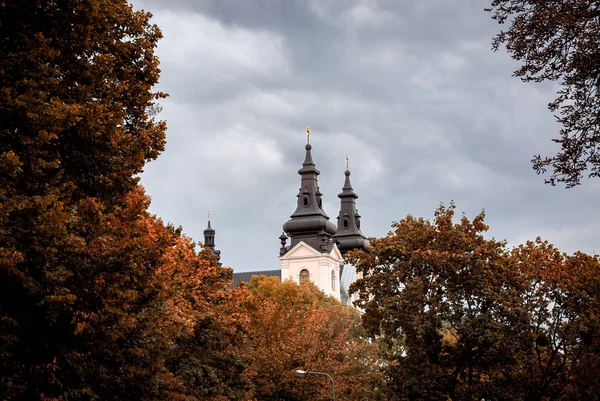 Koepels Van Oude Kathedraal Van Lviv — Stockfoto