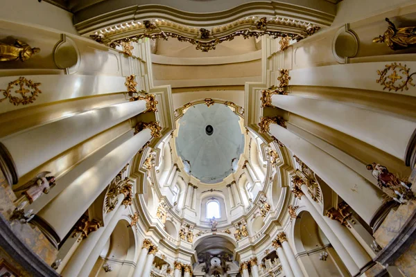 Lviv Ukraina September 2016 Dominican Cathedral Inre Katolsk Kyrka — Stockfoto