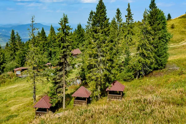 Маленькие Деревянные Домики Лесу — стоковое фото